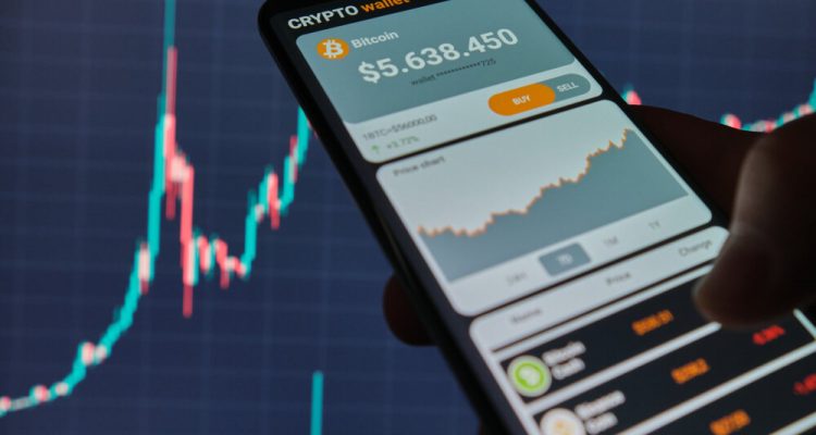 Crypto Wallets Explained Hot vs Cold Storage Insights