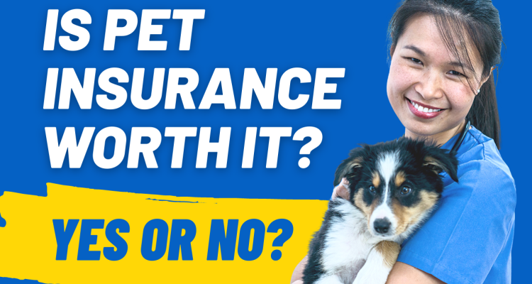 Pet Insurance Is It a Smart Investment Today