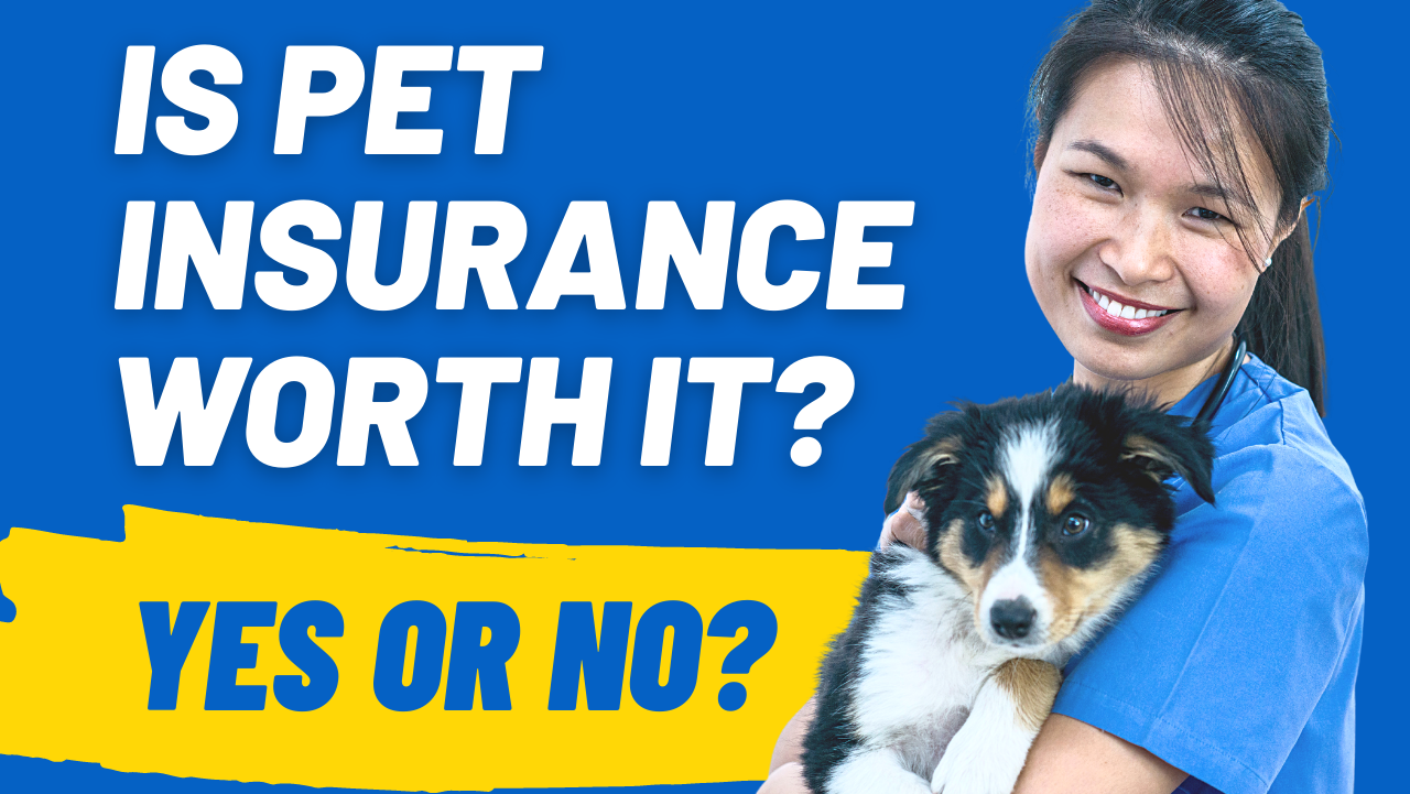 Is Pet Insurance Worth It? 5 Shocking Stats You Should Know... - HoundGames Pet Insurance Is It a Smart Investment