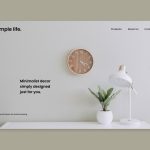 Creating a Niche Store for Minimalist Decorations