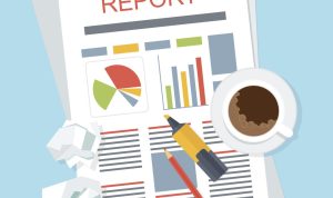 Reports Reveal Most Searched Shopping Categories This Year