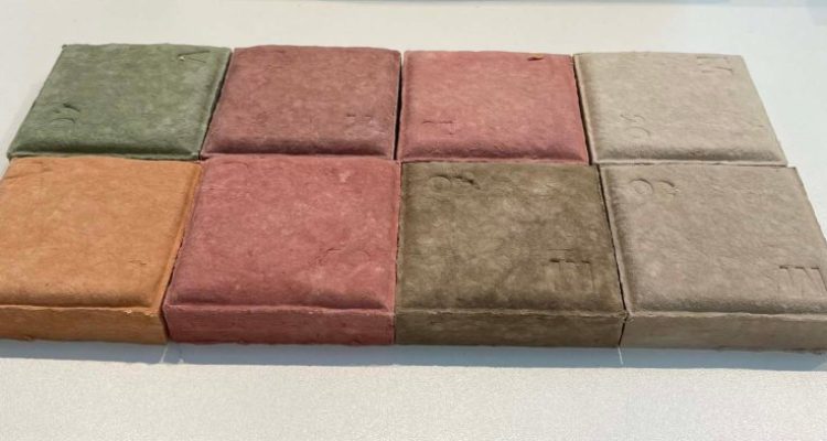 Trends in Recycled Material Accessories and Their Market